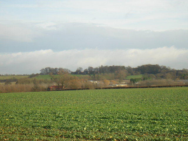 File:A Good Crop - geograph.org.uk - 307958.jpg