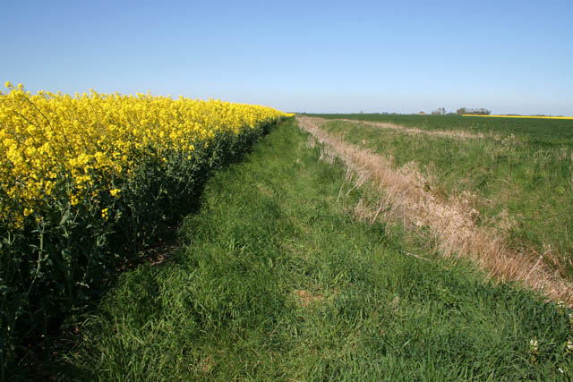 File:Billingborough Fen - geograph.org.uk - 420748.jpg