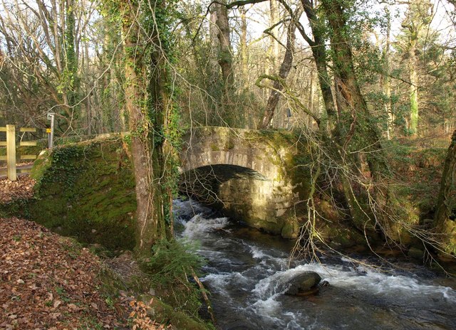 File:Buckland Bridge - geograph.org.uk - 2773874.jpg