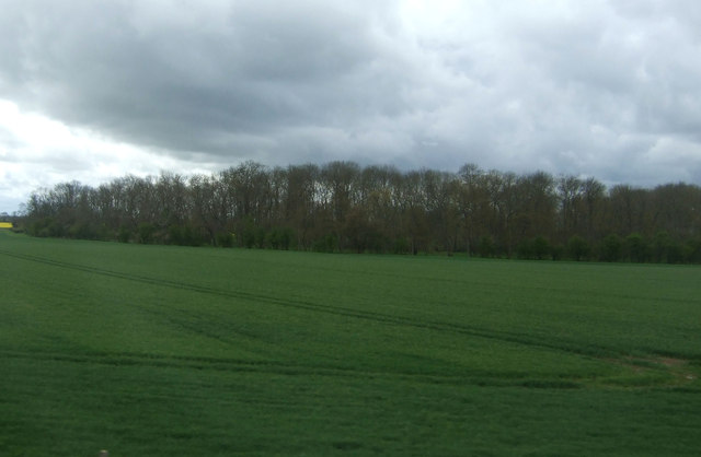 File:Farmland towards Uffington New Wood - geograph.org.uk - 3020347.jpg