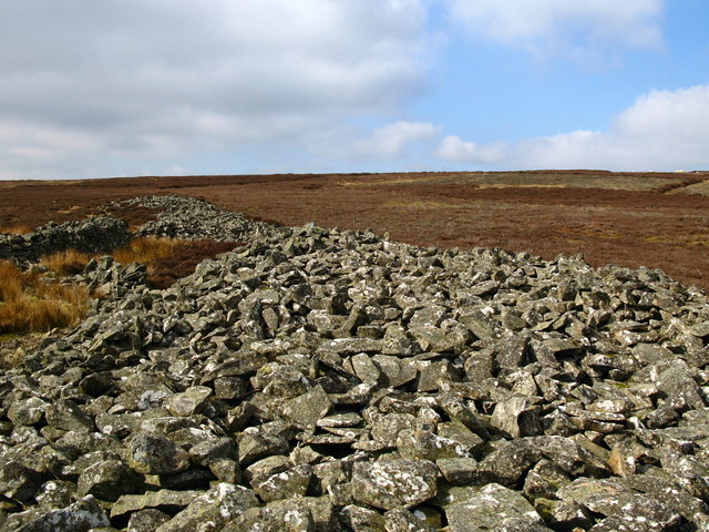 File:Mutiny Stones, Byrecleugh Ridge - geograph.org.uk - 375401.jpg