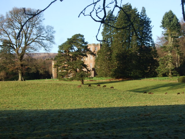 File:Fasque park from the lochan - geograph.org.uk - 1613654.jpg