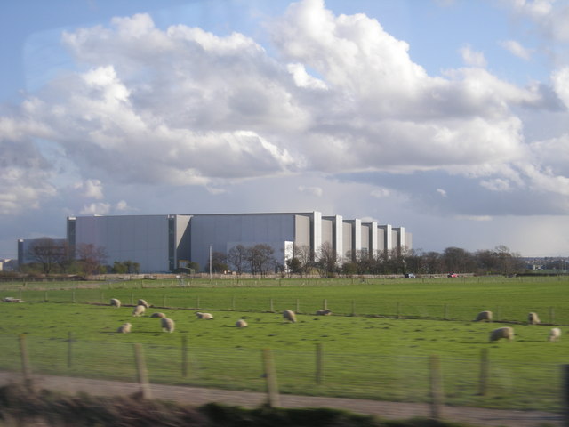 File:Sheep grazing near the Airbus factory - geograph.org.uk - 765716.jpg