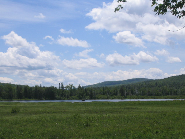 File:Moose at Umbagog National Wildlife Refuge (4751589951).jpg