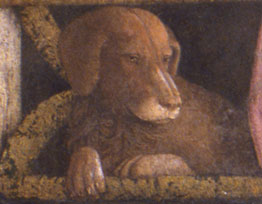 File:Camera picta, la corte, cane rubino.jpg