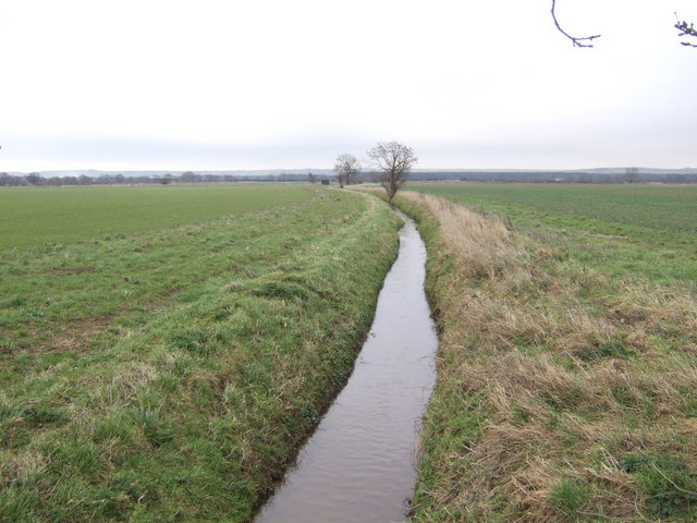 File:Brook on North Kelsey Moor - geograph.org.uk - 327457.jpg