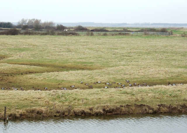 File:Inside the borrowdyke - geograph.org.uk - 1182452.jpg