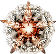 (11) The flower starfish Barnstar