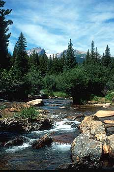 File:Fall River Pass Creek.jpg