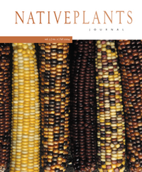 Fall 2004 Native Plants Journal cover, six heads of corn in different colors from yellow to brown