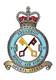 Squadron badge