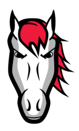 Leicester Riders logo