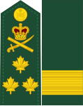 Dress uniform tunic - shoulder and sleeve