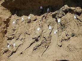 A picture of a mass grave from the Dasht-i-Leili massacre published by the United Nations and Physicians for Human Rights.