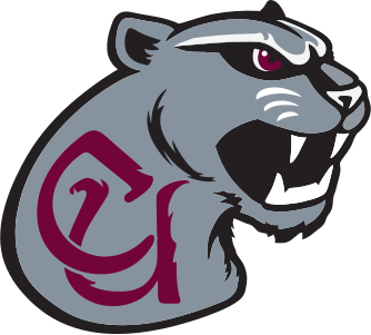 File:Concord Mountain Lions logo.svg