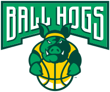Ball Hogs logo
