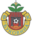 Pre 2009 emblem (Coat of arms of Chernivtsi)