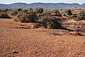 Recent kankar sheet on Hookina Floodplain, South Australia