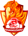 Guangzhou Evergrande (2010-2011)