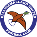 Logo du Ballinamallard United