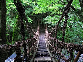 奥祖谷二重かずら橋（女橋）