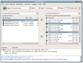 Скриншот программы gFTP