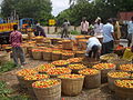 08:30, 17 నవంబరు 2009 నాటి కూర్పు నఖచిత్రం