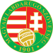 Shirt badge/Association crest