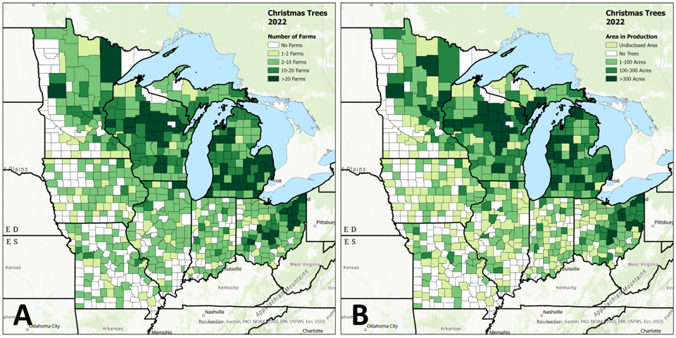 Two maps of Christmas tree production in the Midwest, displaying county-level farms and county-level production area. Maps show heaviest production in central and northern Wisconsin, throughout Michigan, and in northeast Ohio counties.
