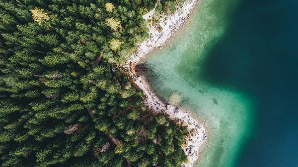 Aerial view of a coastline