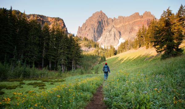 A hiker walking through a meadow in Oregon. 