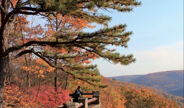 landscape view of fall foliage