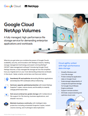 Google Cloud NetApp Volumes 報告的第一頁