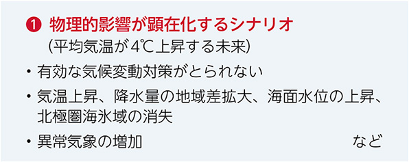 ①物理的影響が顕在化するシナリオ（平均気温が4℃上昇する未来） ・有効な気候変動対策がとられない ・気温上昇、降水量の地域差拡大、海面水位の上昇、北極圏海氷域の消失 ・異常気象の増加 など