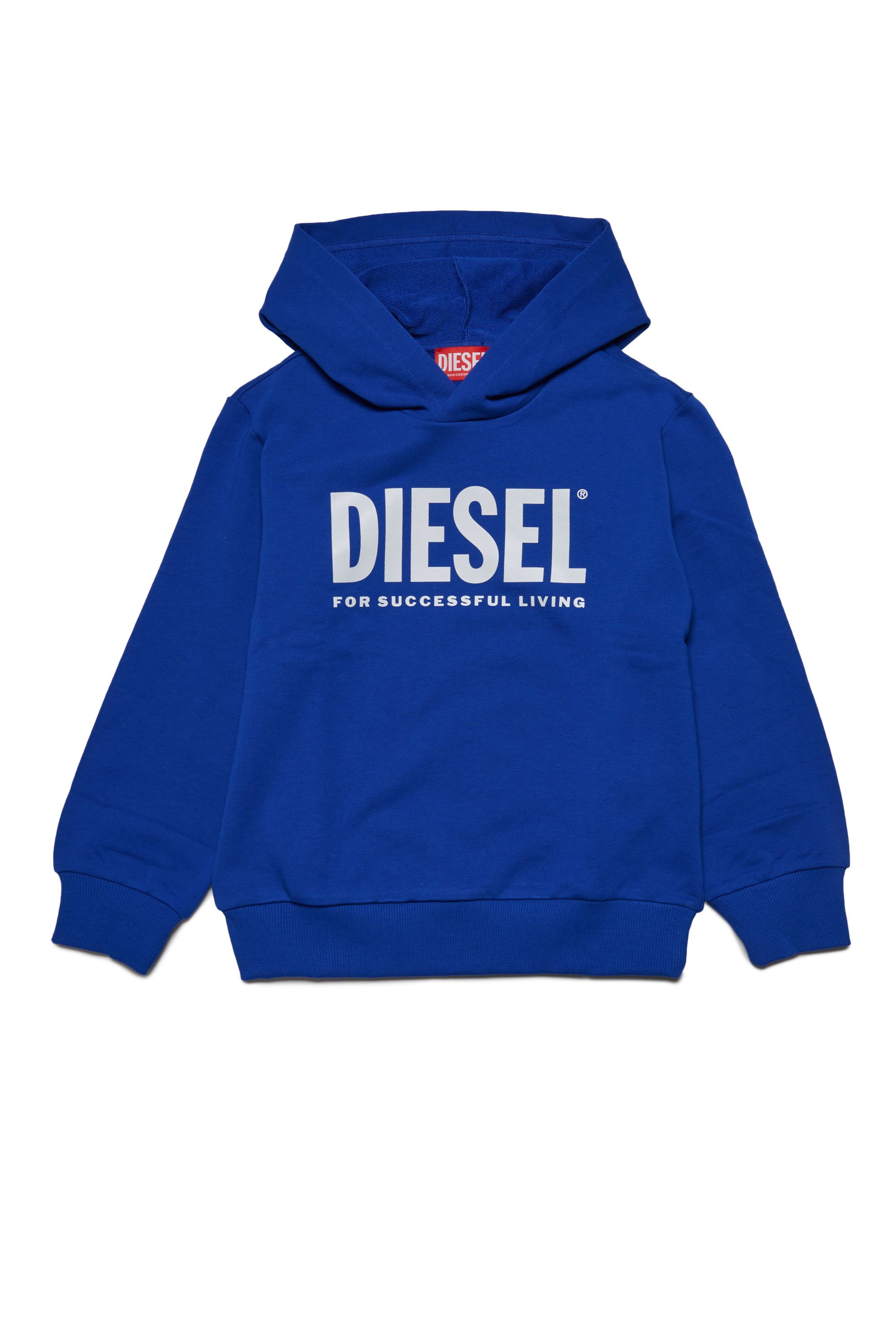 Diesel - LSFORT DI OVER HOOD, Unisex フーディースウェットロゴ in ブルー - Image 1