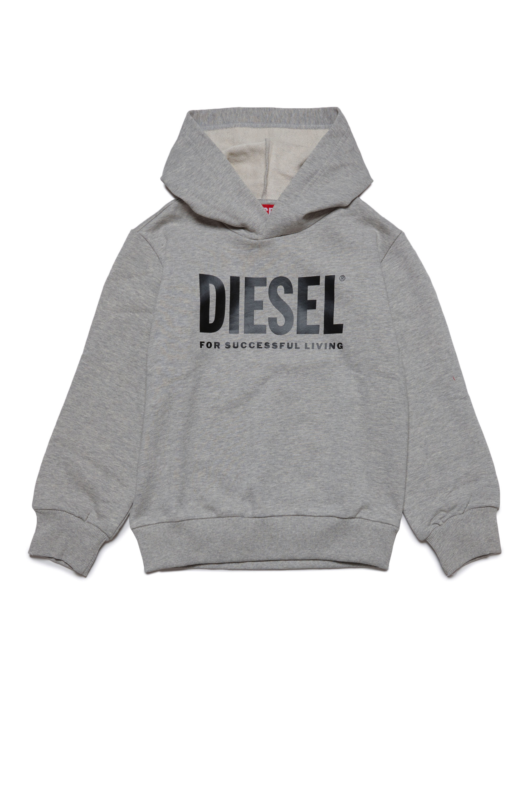 Diesel - LSFORT DI OVER HOOD, Unisex フーディースウェットロゴ in グレー - Image 1