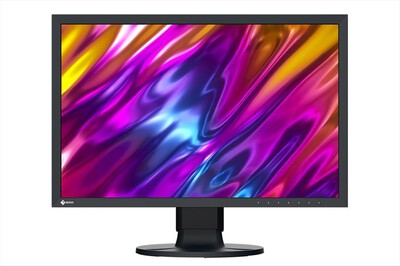 EIZO - Monitor COLOREDGE 24" CS2400S-NERO