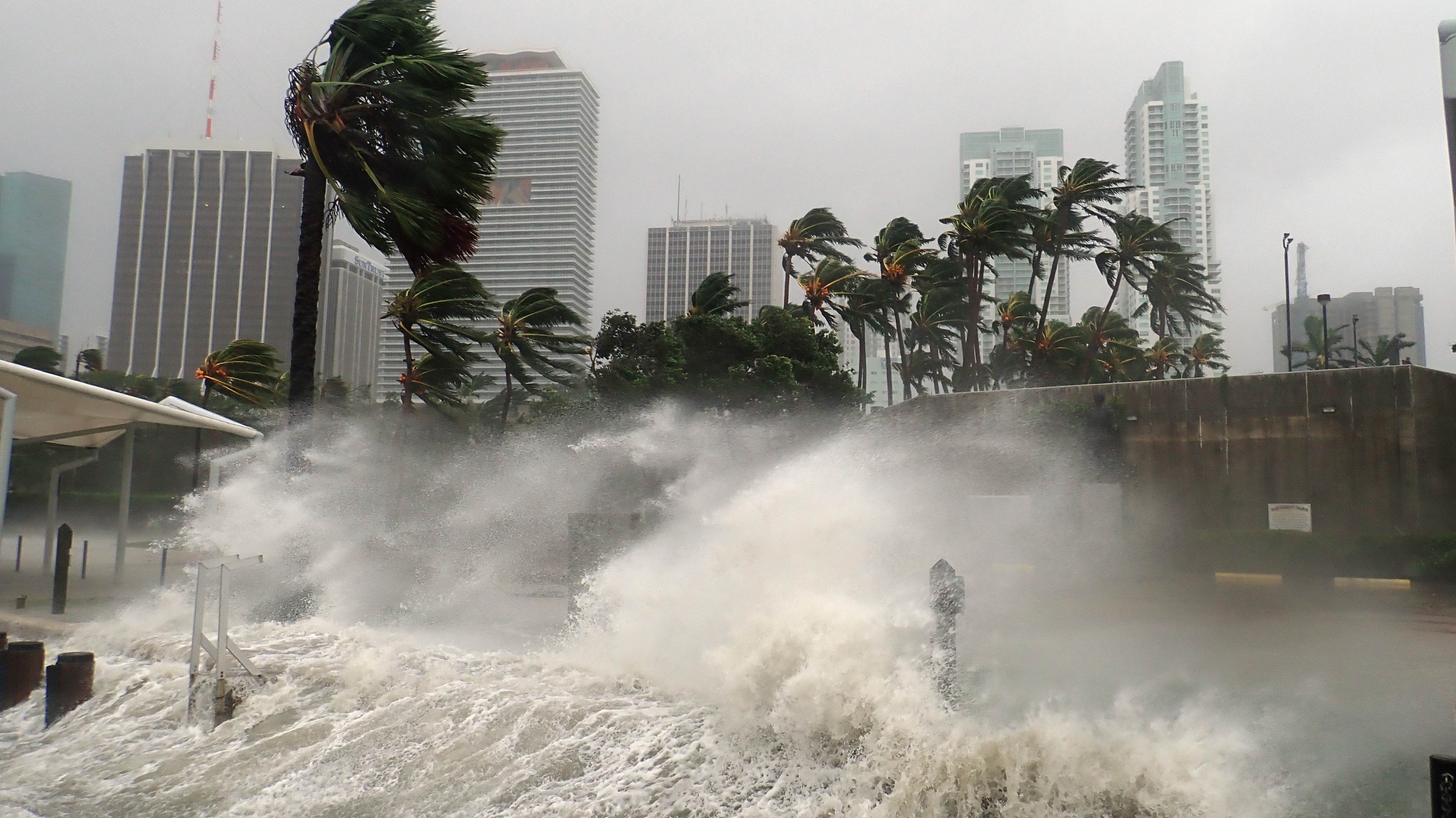 Hurricane Irma