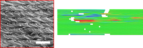 Sustainable Bioinspired Composites