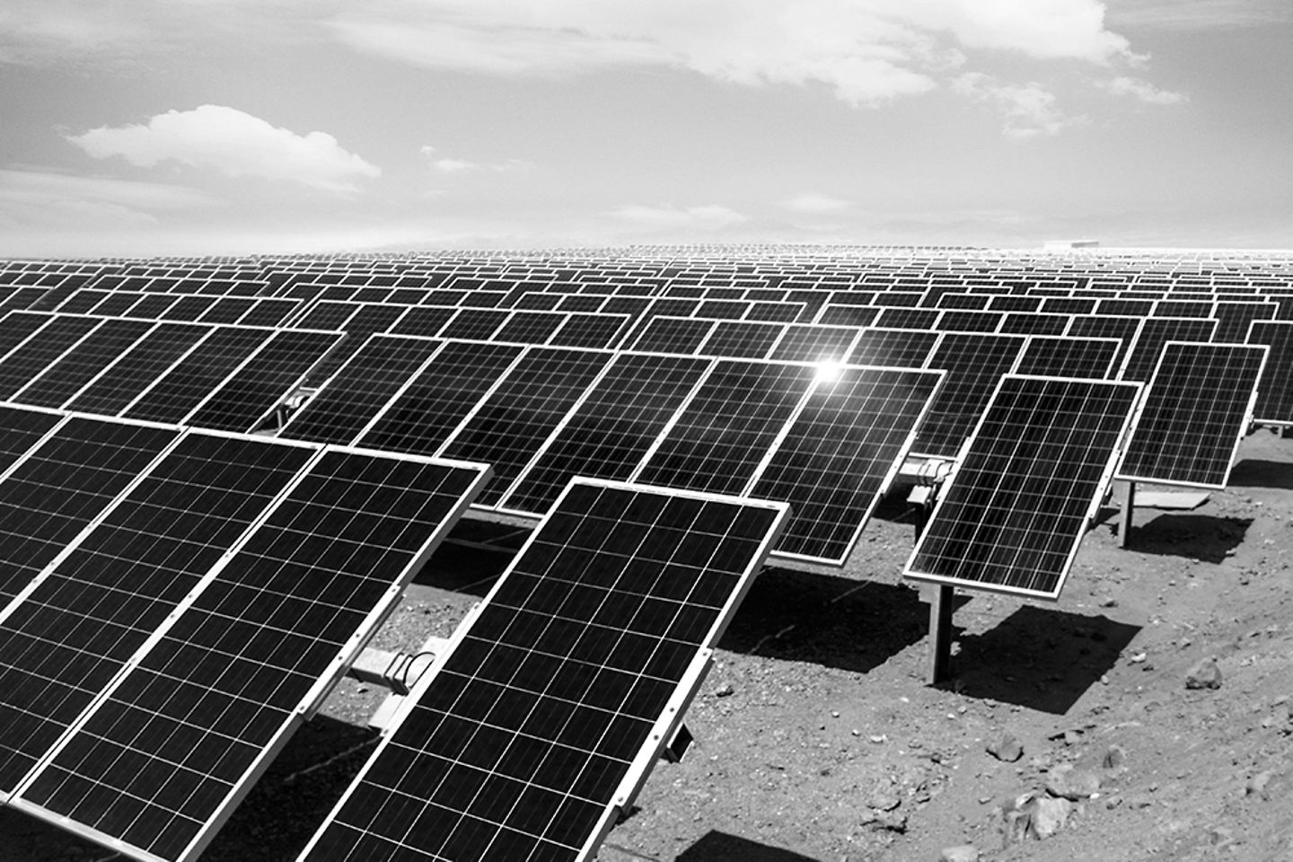 Image en noir et blanc d’une ferme solaire
