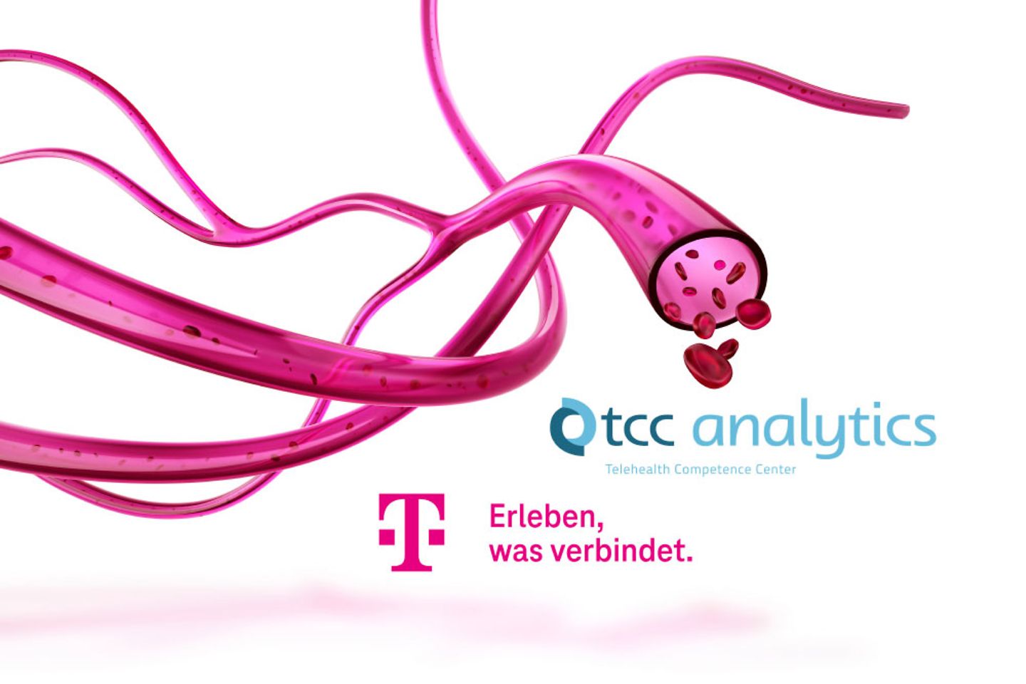 Telekom Healthcare Visual Bloodstream
