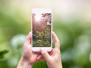 Two hands holding a smartphone displaying a green forest on its screen