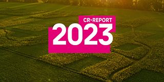 CR Report 2023