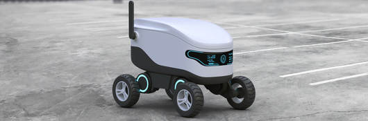 Self-driving robot 