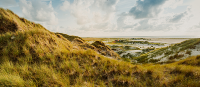 Grassy sand dune on a cloudy day