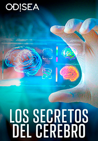 Los secretos del cerebro