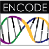 @ENCODE-DCC