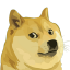 @DFC-2021-DogeCoin