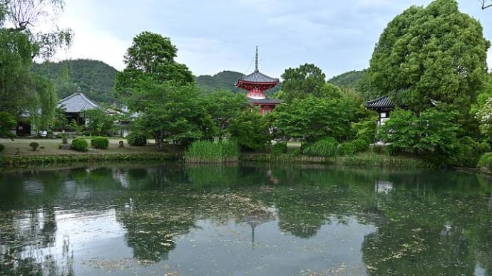 大覚寺、大沢池