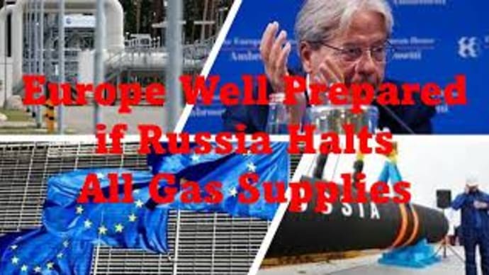 Europe Well Prepared if Russia Halts All Gas Supplies